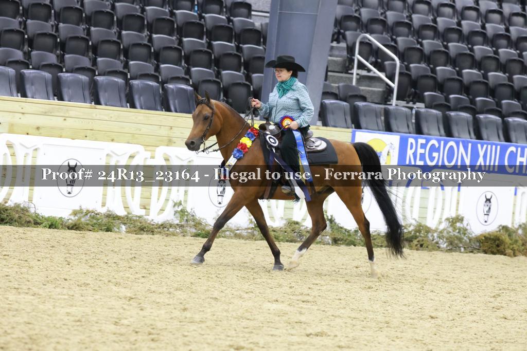 Proof 24R13_23164