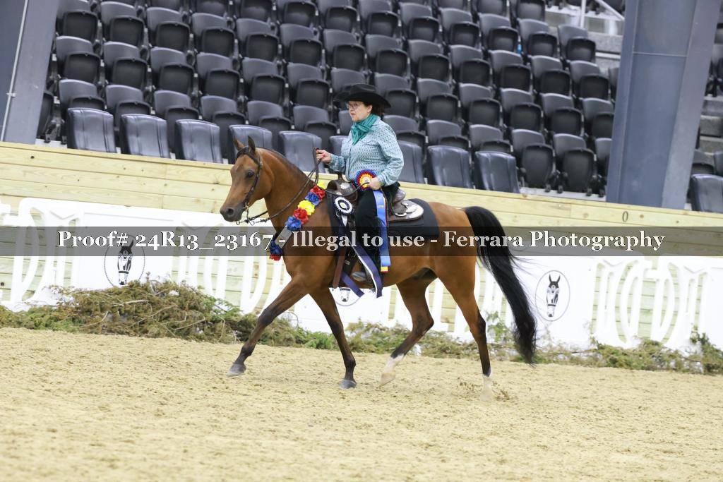 Proof 24R13_23167