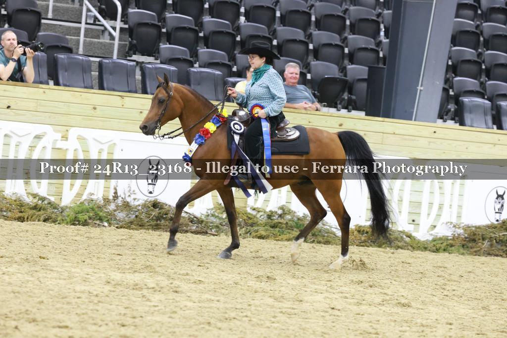 Proof 24R13_23168