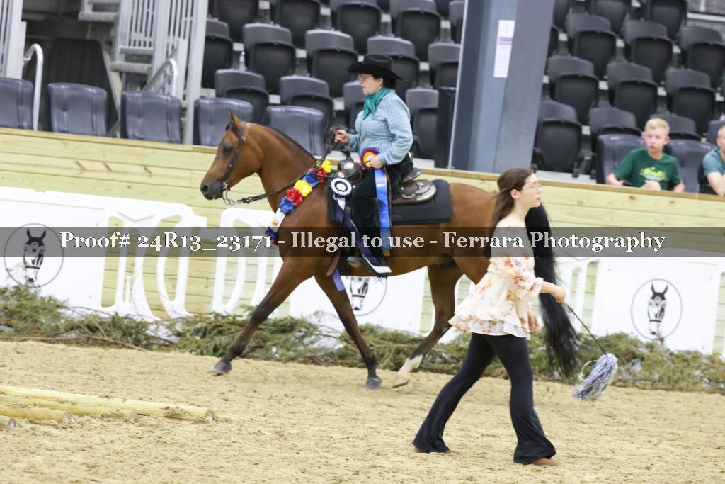 Proof 24R13_23171