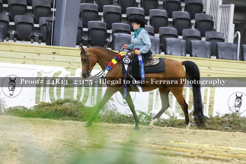Proof 24R13_23175