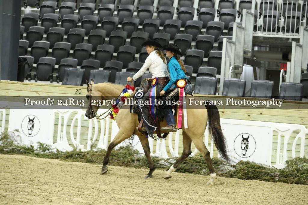 Proof 24R13_23176