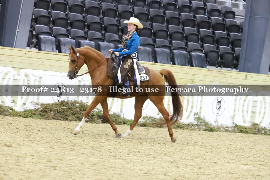 Proof 24R13_23178