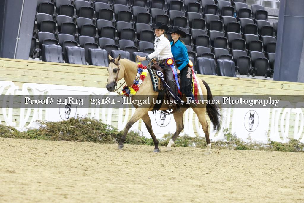 Proof 24R13_23181