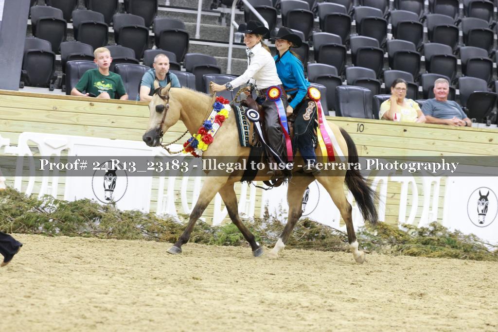 Proof 24R13_23183