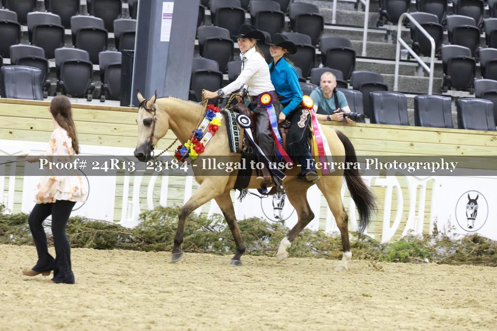 Proof 24R13_23184