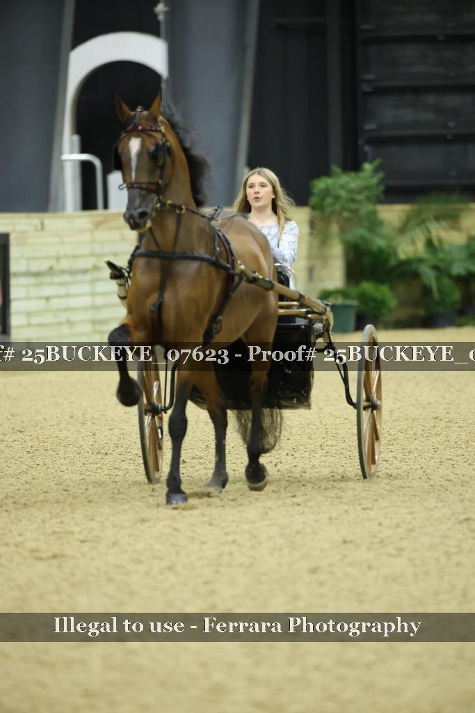 Proof 25BUCKEYE_07623