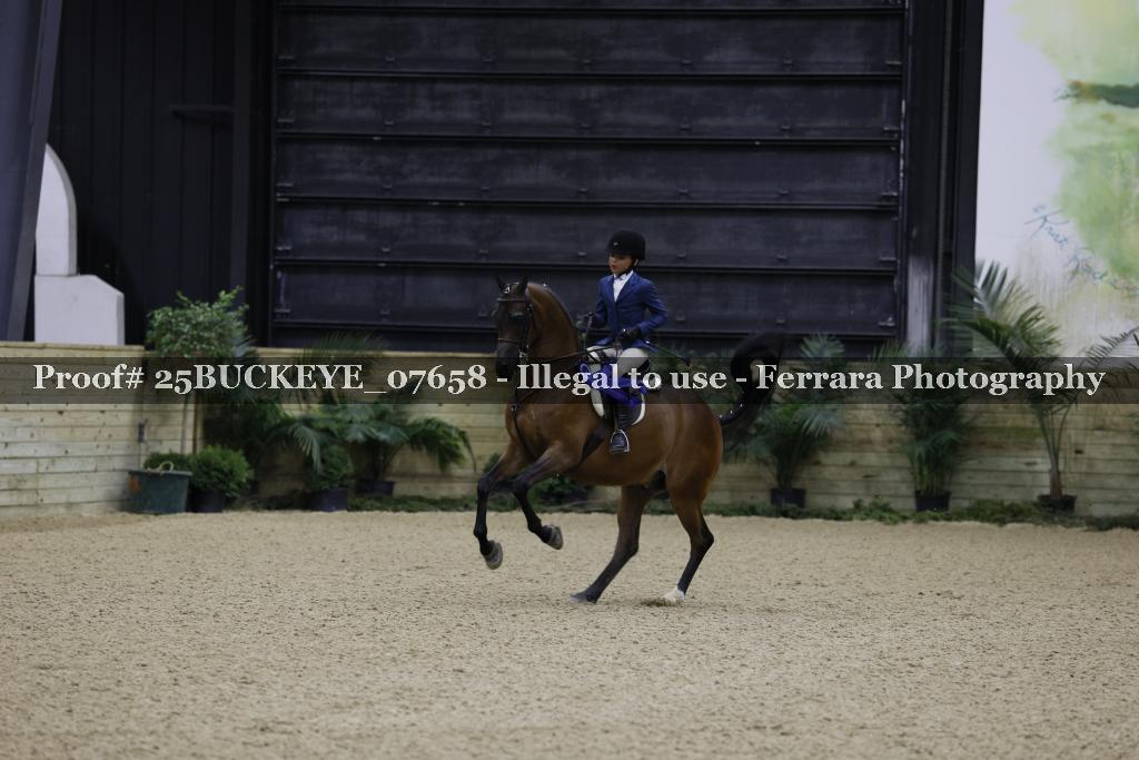 Proof 25BUCKEYE_07658