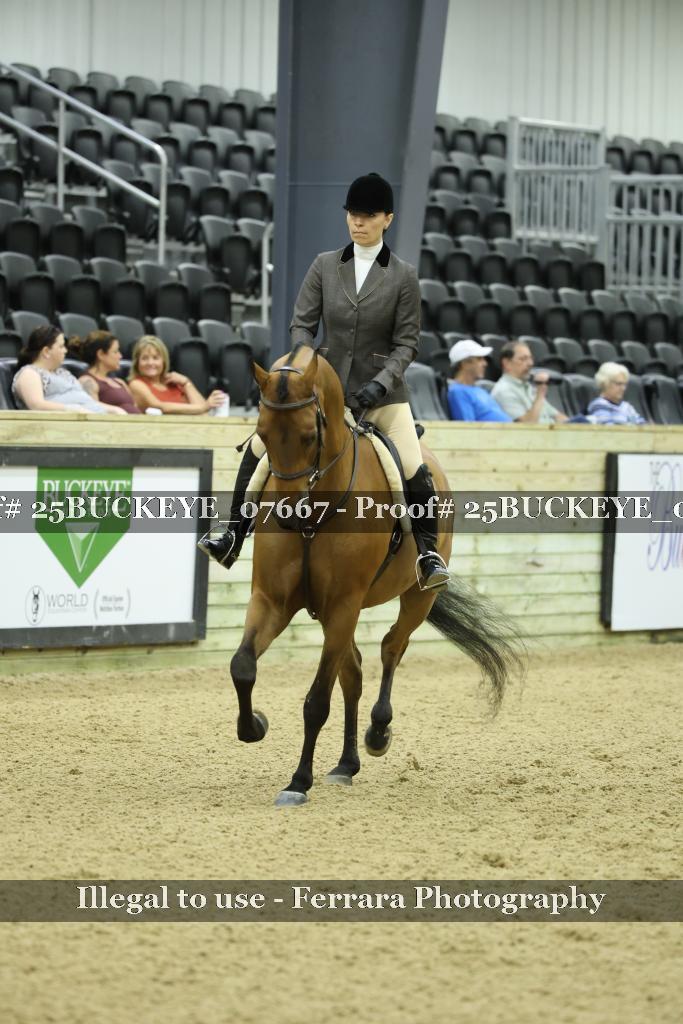 Proof 25BUCKEYE_07667