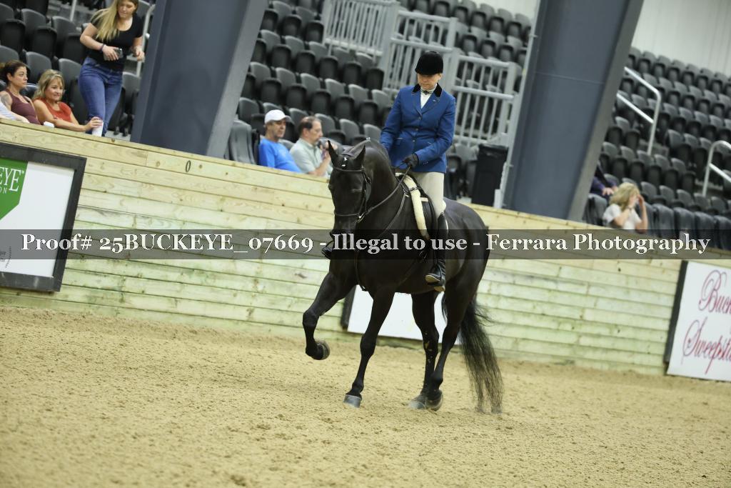 Proof 25BUCKEYE_07669