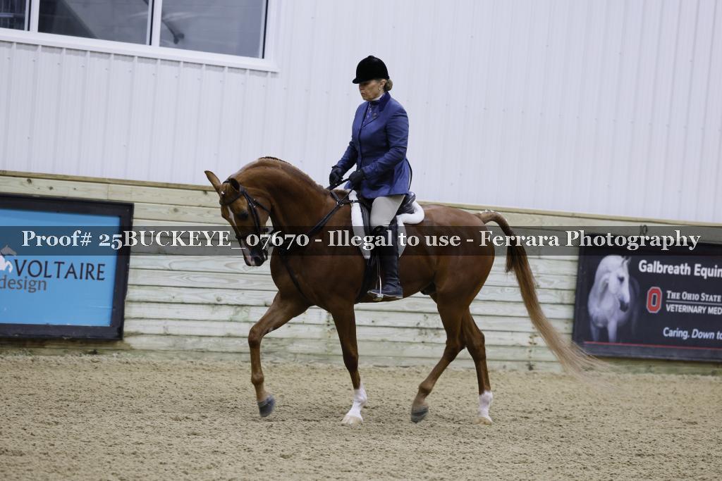 Proof 25BUCKEYE_07670
