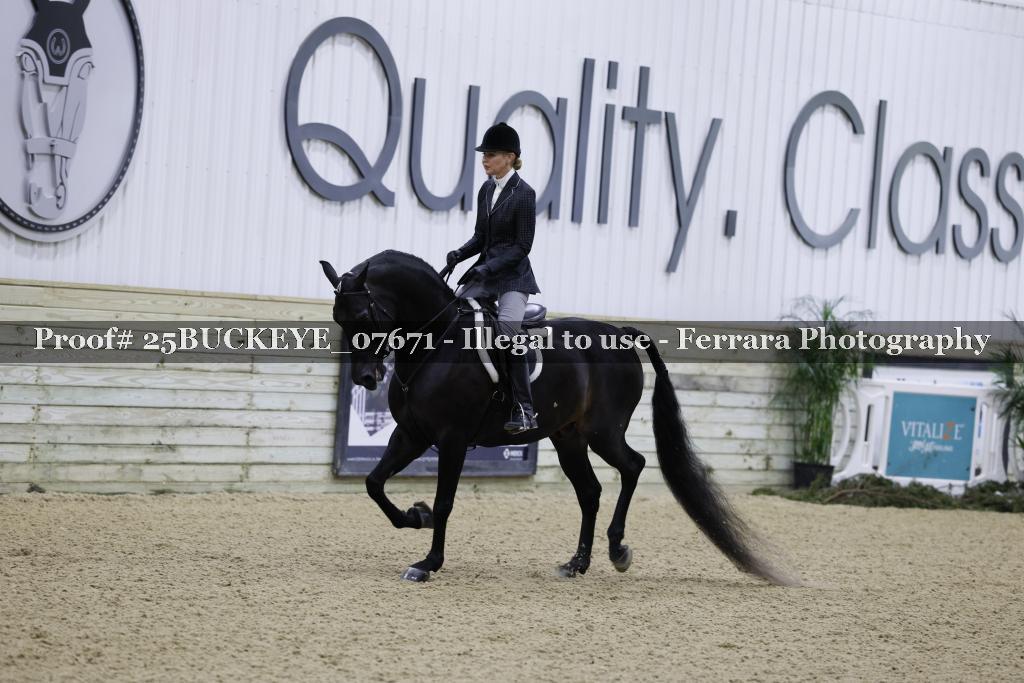 Proof 25BUCKEYE_07671