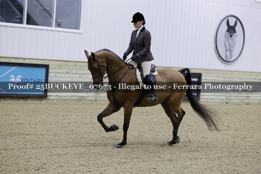 Proof 25BUCKEYE_07673
