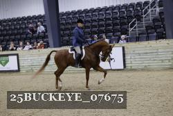 25BUCKEYE_07675 proof