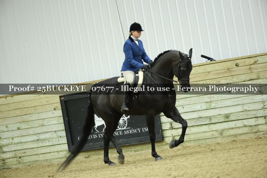 Proof 25BUCKEYE_07677