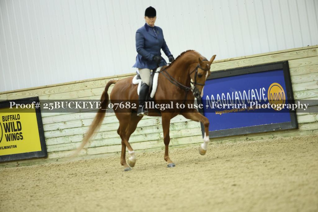 Proof 25BUCKEYE_07682