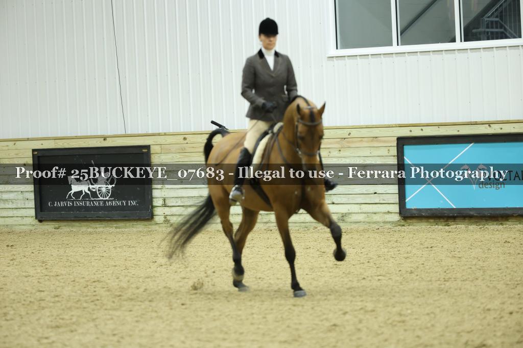 Proof 25BUCKEYE_07683