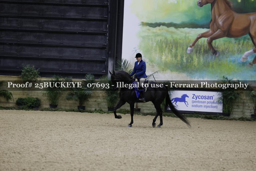 Proof 25BUCKEYE_07693