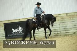 25BUCKEYE_07741 proof