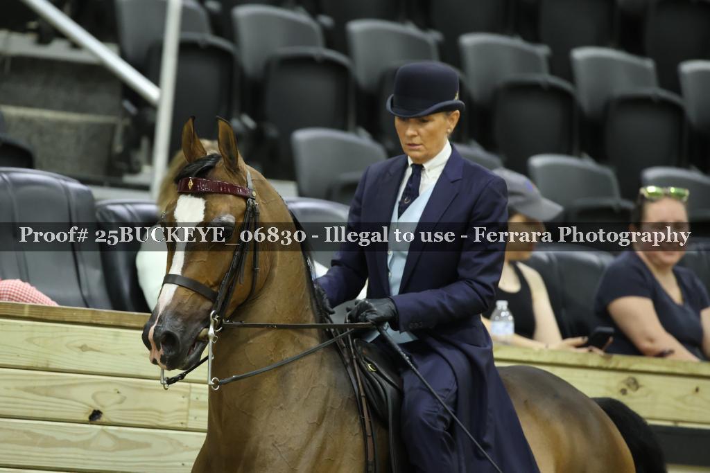 Proof 25BUCKEYE_06830