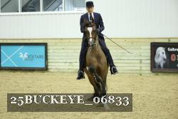25BUCKEYE_06833 proof