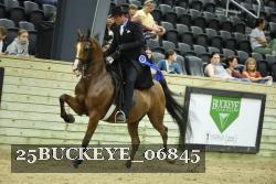 25BUCKEYE_06845 proof