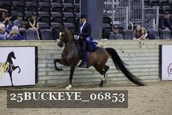 25BUCKEYE_06853 proof