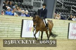 25BUCKEYE_06859 proof