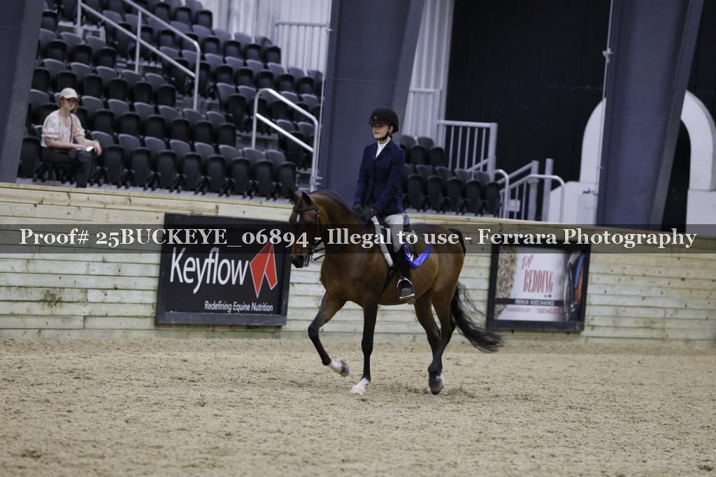Proof 25BUCKEYE_06894