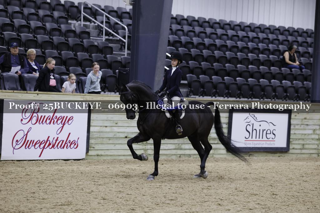 Proof 25BUCKEYE_06903