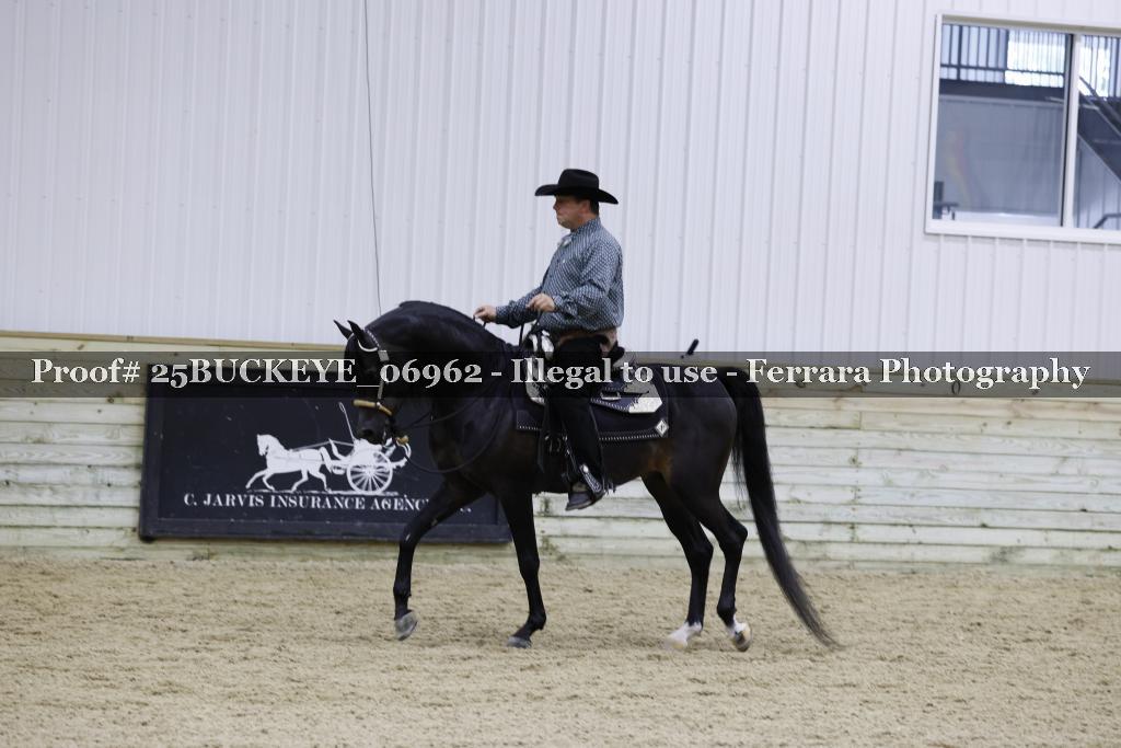 Proof 25BUCKEYE_06962