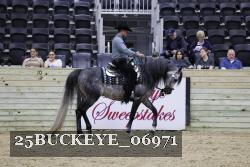 25BUCKEYE_06971 proof