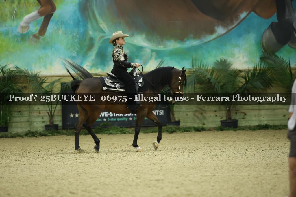 Proof 25BUCKEYE_06975