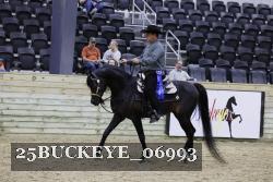 25BUCKEYE_06993 proof