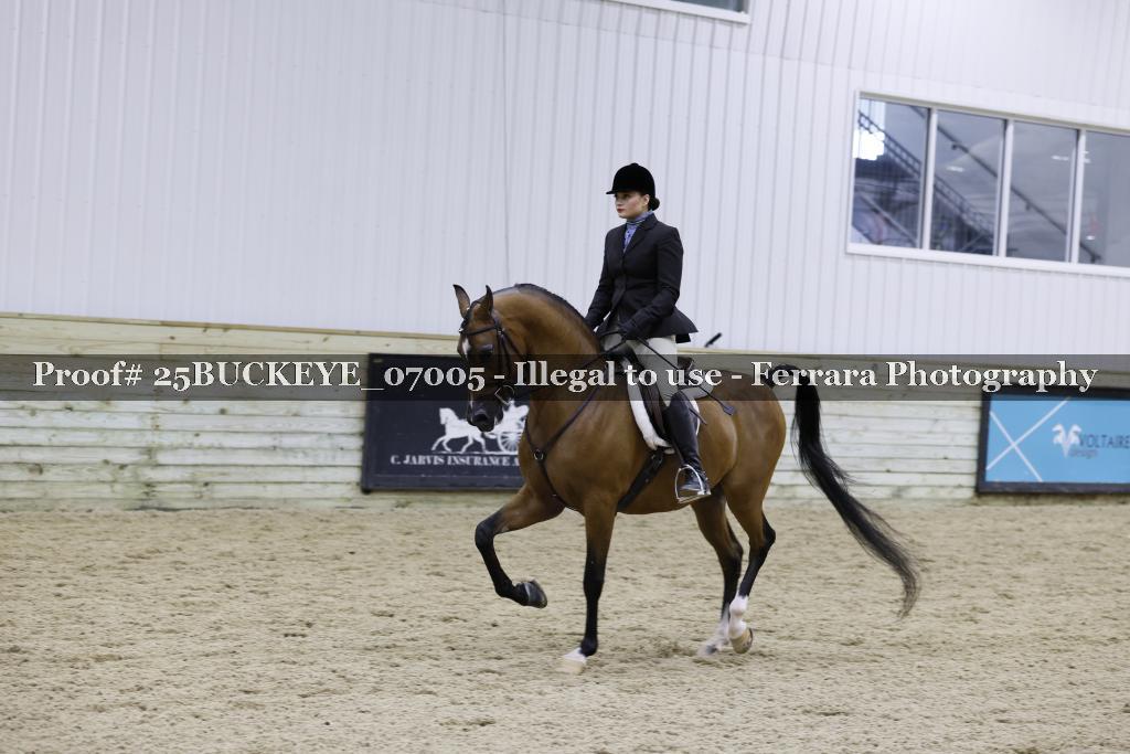 Proof 25BUCKEYE_07005