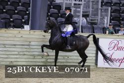 25BUCKEYE_07071 proof