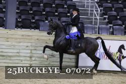 25BUCKEYE_07072 proof
