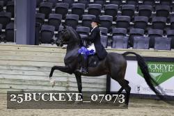 25BUCKEYE_07073 proof