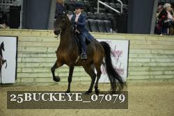 25BUCKEYE_07079 proof