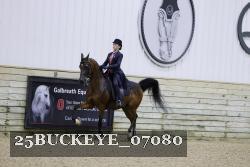 25BUCKEYE_07080 proof