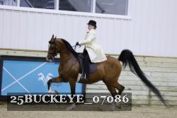 25BUCKEYE_07086 proof