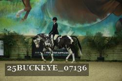 25BUCKEYE_07136 proof