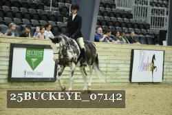 25BUCKEYE_07142 proof