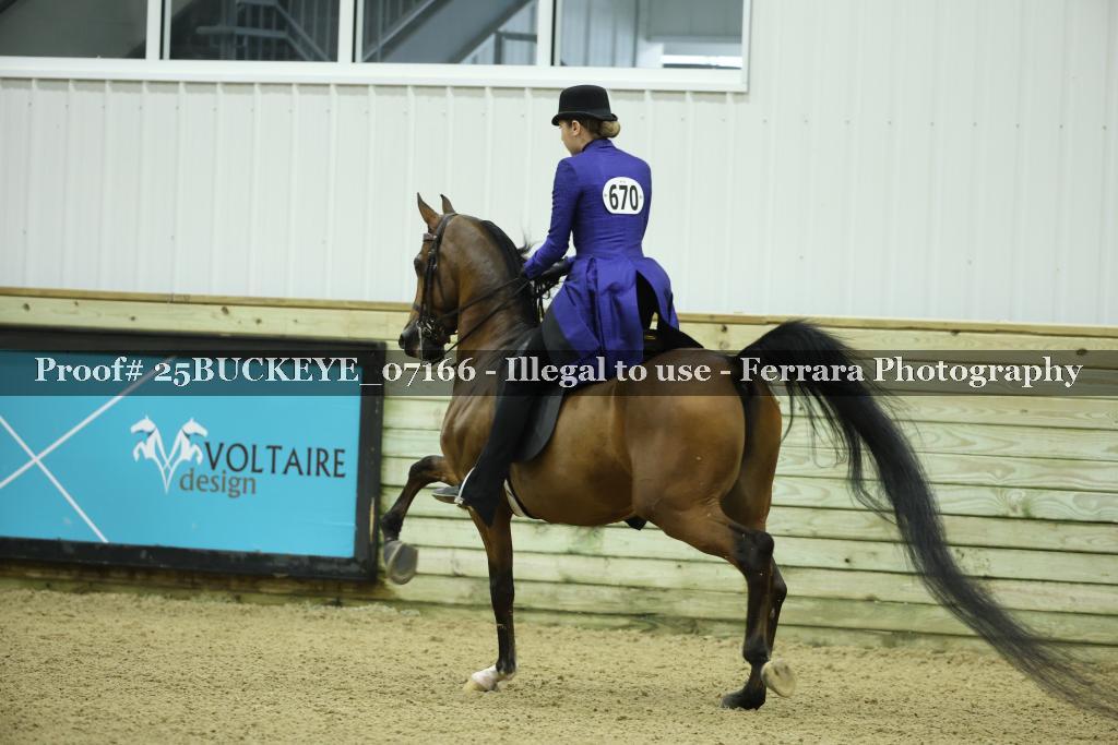 Proof 25BUCKEYE_07166