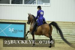 25BUCKEYE_07166 proof
