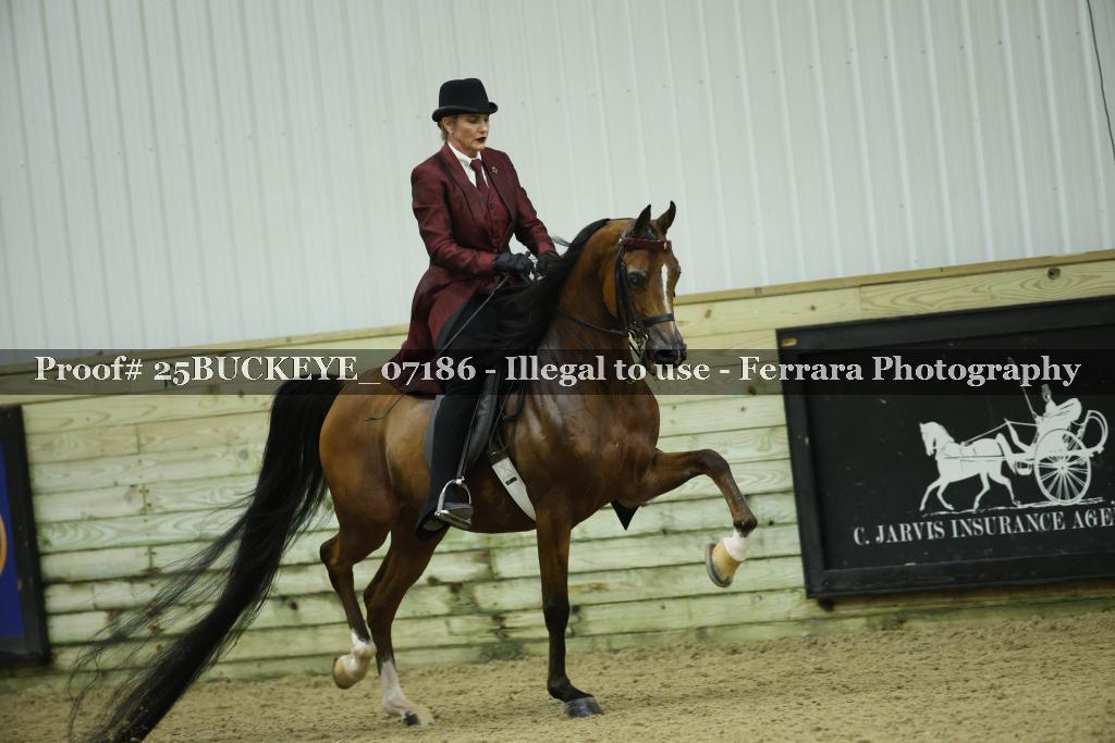 Proof 25BUCKEYE_07186