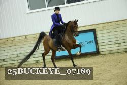 25BUCKEYE_07189 proof