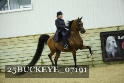 25BUCKEYE_07191 proof