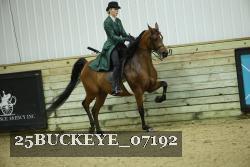25BUCKEYE_07192 proof