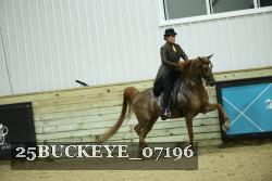 25BUCKEYE_07196 proof
